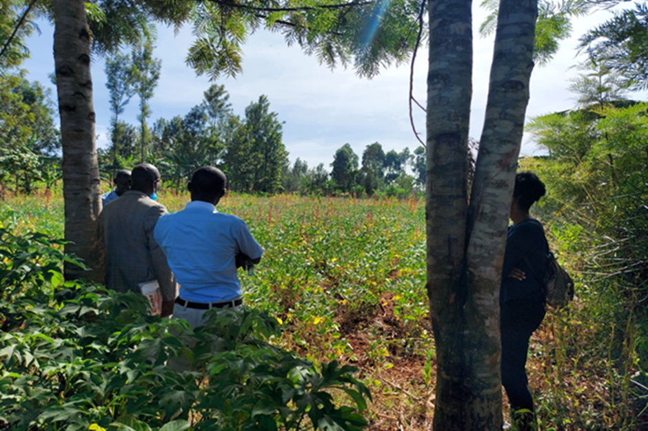 An agriBORA field day