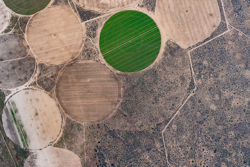 Crop circles South Africa