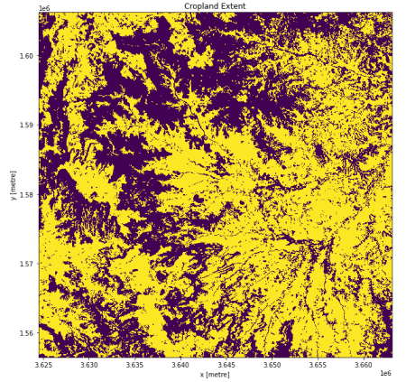 Cropland Extent of Ethiopia using Cropland Extent Map.  