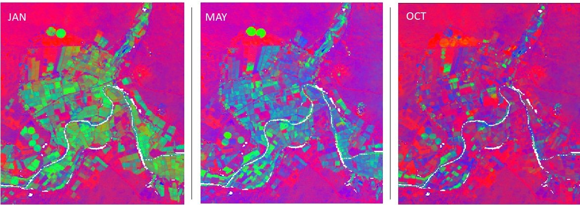 Fractional cover Oliphants River , Koekenaap, 5 month intervals