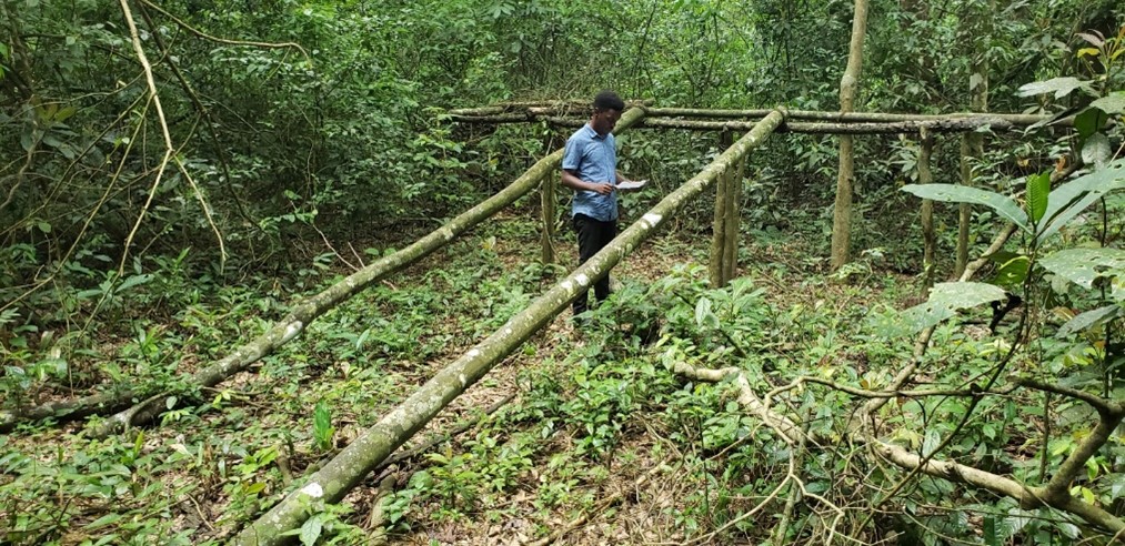 Ainomujuni Griffin, one of the project participants, conducting a ground truth assessment of an area where significant negative change had occurred