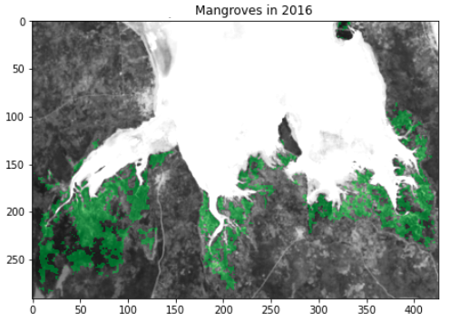 Magrove extent in Chwaka bay