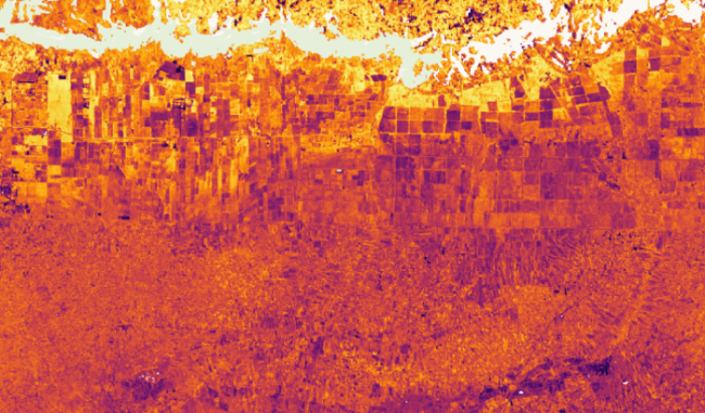 Probability of cropping in Awendo, Kenya aerial imagery.