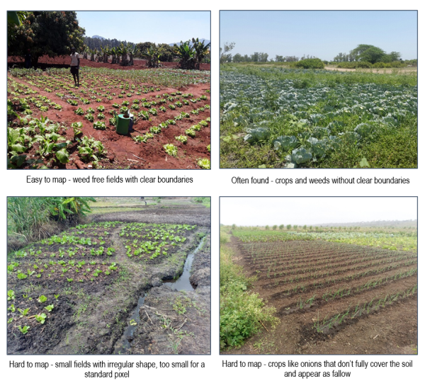 images from the field of different crops validated for mapping