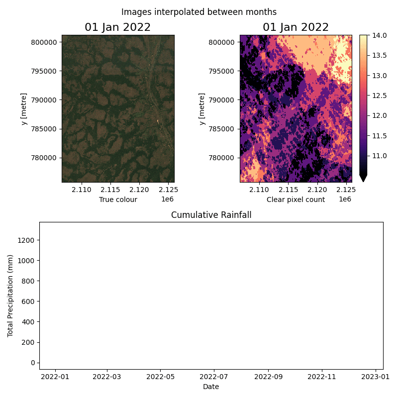 Composite true colour monthly animation based on an interpolated time series from the Rolling Monthly GeoMAD (top-left) for 2022 over the Central African Republic, a cloud prone region, accompanied by the number of clear observations available in the geomedian image (top-right). The animations show relatively cloud-free imagery available from few clear observations from June - October, which is a high rainfall period (bottom).