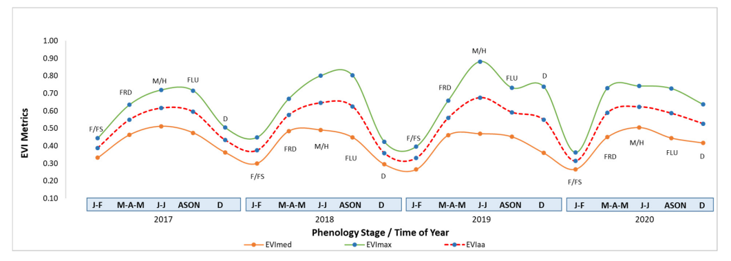 results of phenology stages
