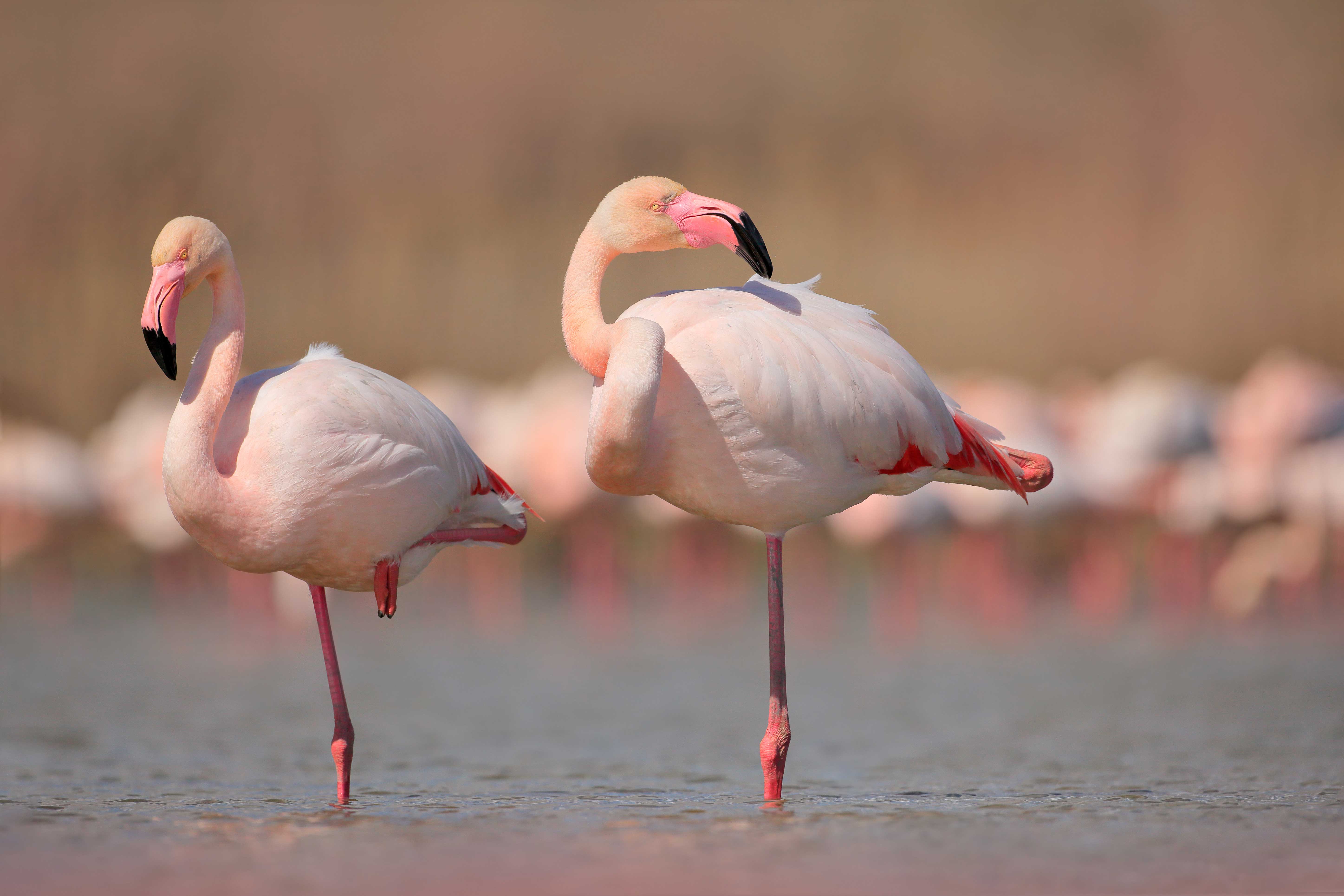 A rise in human activity around Lake